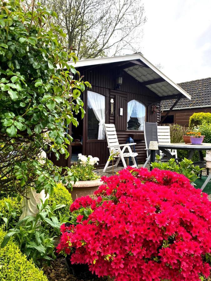 Appartementen Koets Biggekerke Exteriér fotografie